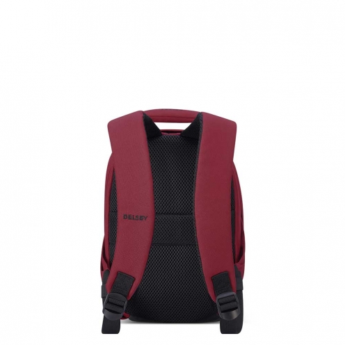 DELSEY PARIS SECURBAN BACKPACK