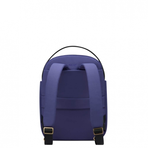 DELSEY PARIS SECURSTYLE BACKPACK